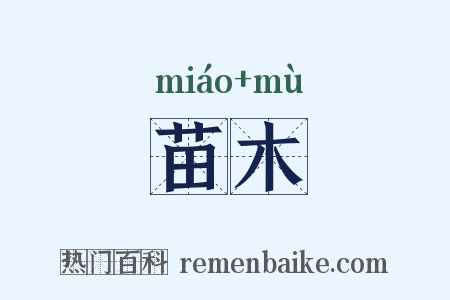 苗木是什么意思的图片